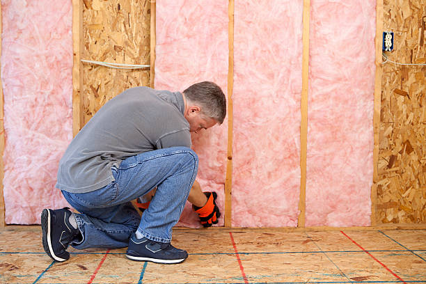 Best Insulation Maintenance and Repair in Raymond, WI